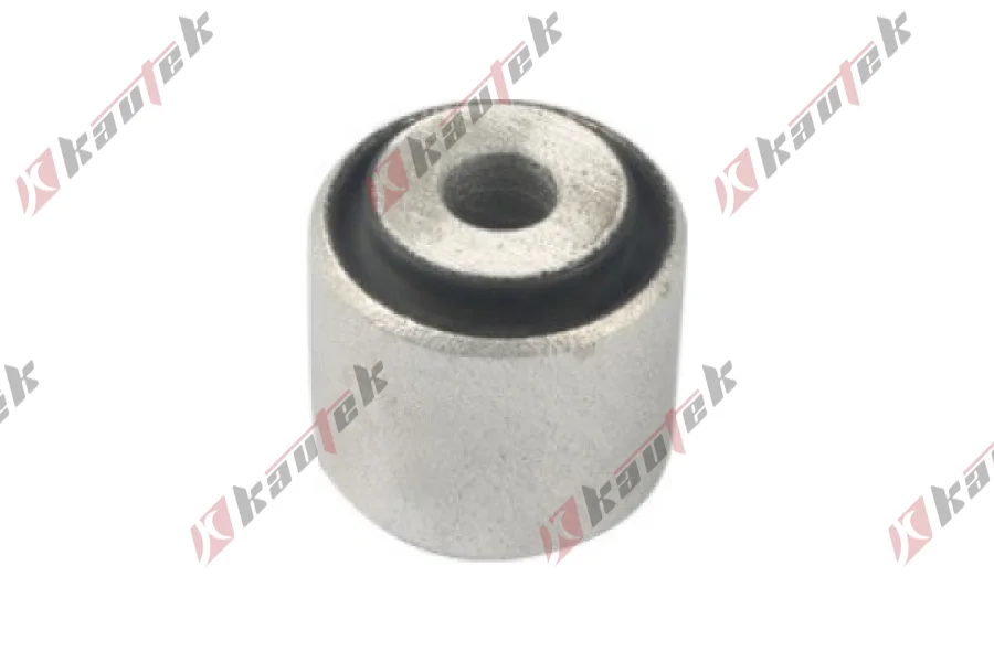 SALINCAK DENGE KOL BURCU, ARKA