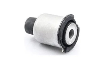 SALINCAK DEBGE KOL BURCU, ARKA UST