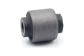 SALINCAK - DENGE KOLU BURCU, ARKA