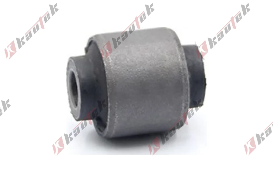 SALINCAK - DENGE KOLU BURCU, ARKA