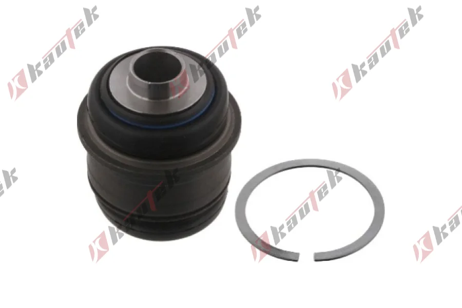 SALINCAK - DENGE KOLU BURCU, ARKA