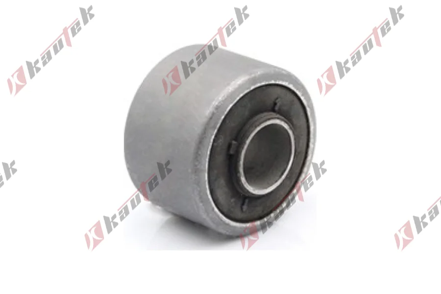 SALINCAK BURCU BUYUK IC