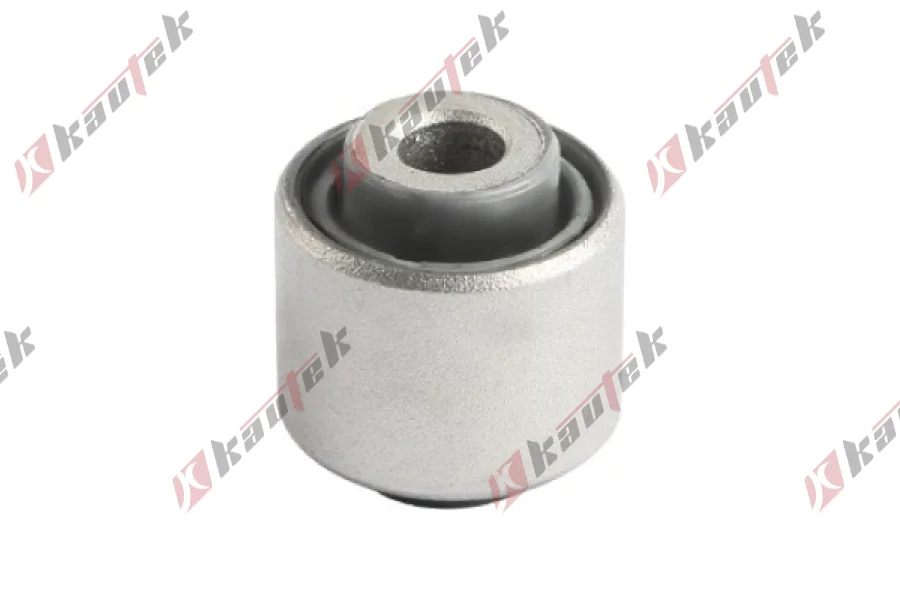 SALINCAK DENGE KOL BURCU, ARKA