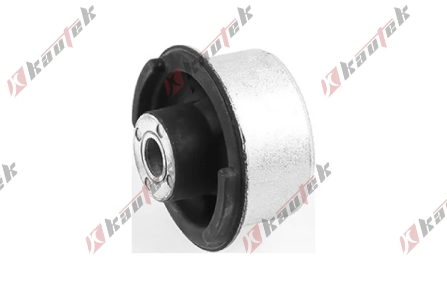 SALINCAK BURCU BUYUK