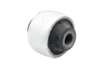 SALINCAK BURCU, ORTA