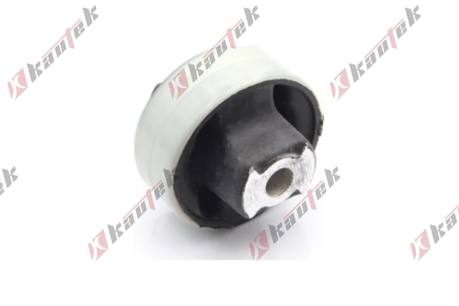 SALINCAK BURCU ARKA BUYUK