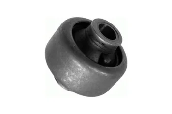 SALINCAK BURCU ARKA KUCUK