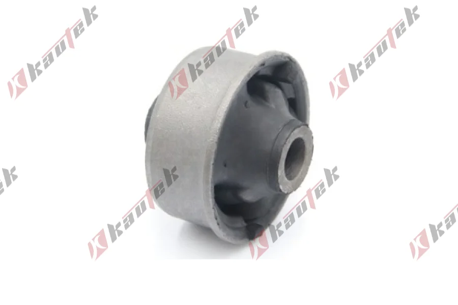 SALINCAK BURCU BUYUK ARKA