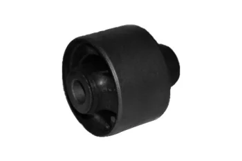 SALINCAK BURCU, ARKA