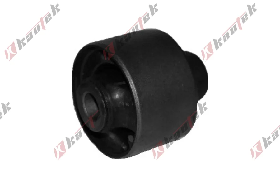 SALINCAK BURCU, ARKA