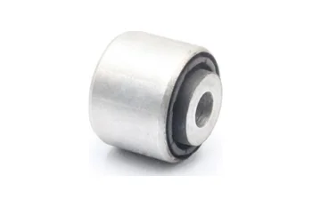 SALINCAK DENGE KOL BURCU, ARKA