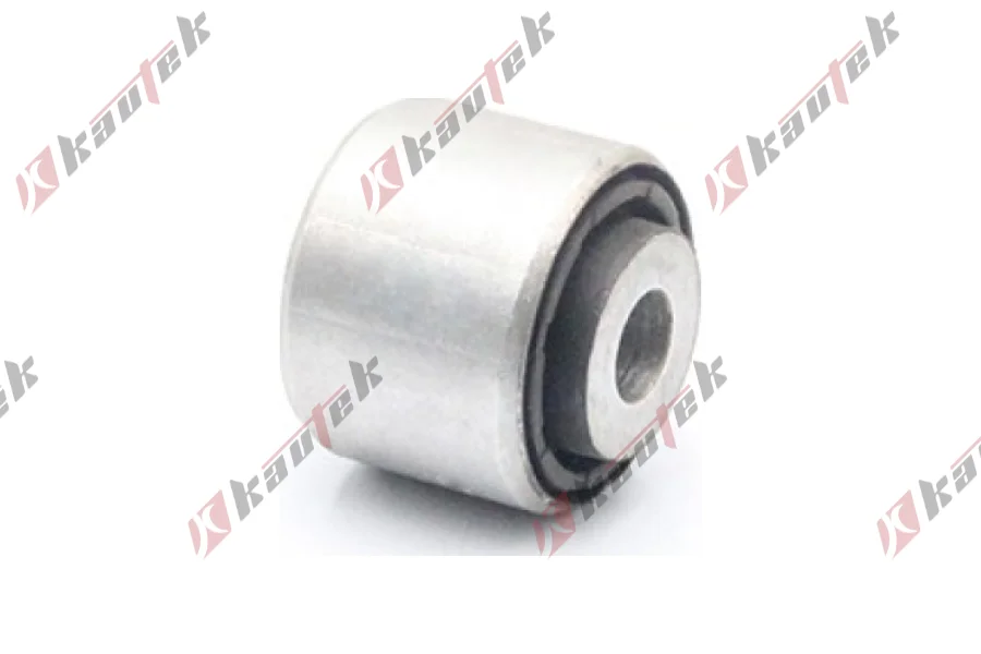 SALINCAK DENGE KOL BURCU, ARKA