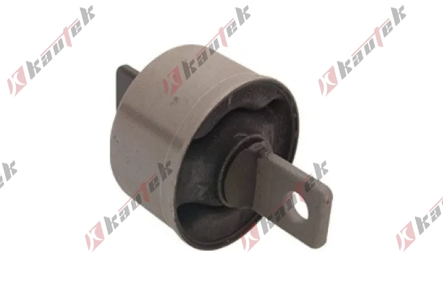 SALINCAK DENGE KOLU BURCU, ARKA