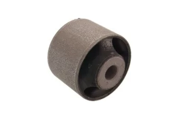 SALINCAK DENGE KOL BURCU, ARKA