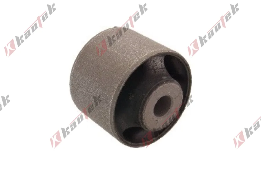 SALINCAK DENGE KOL BURCU, ARKA