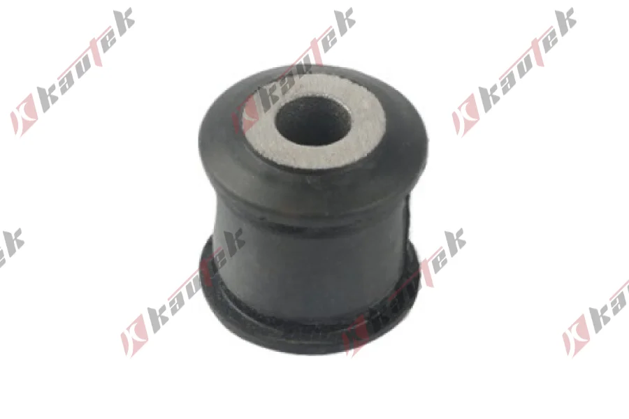 SALINCAK DENGE KOL BURCU, ARKA