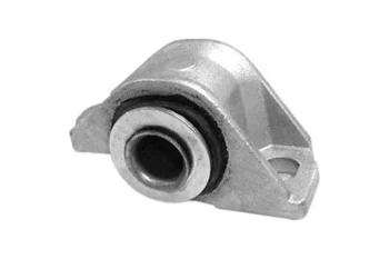 SALINCAK BURCU BUYUK SAG