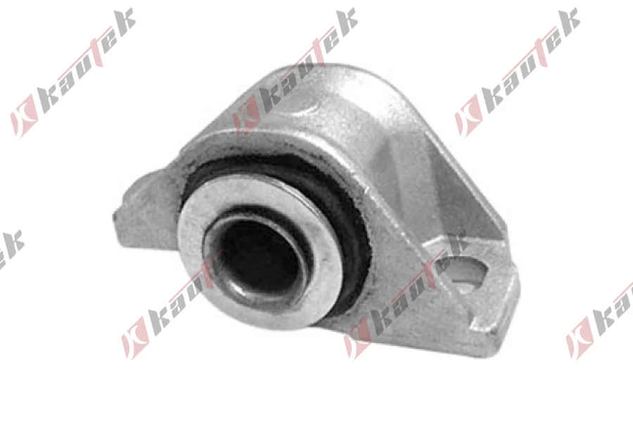 SALINCAK BURCU BUYUK SAG