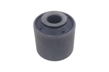 SALINCAK KOL BURCU, ARKA