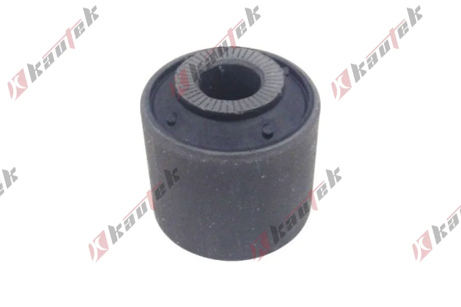 SALINCAK KOL BURCU, ARKA