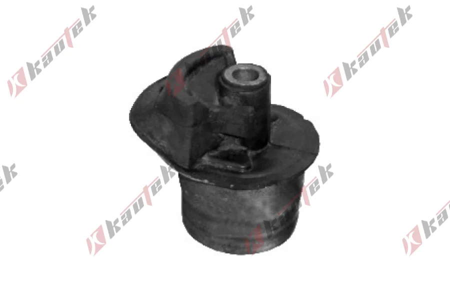 SALINCAK BURCU, ARKA