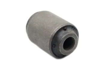 SALINCAK BURCU, ARKA UST