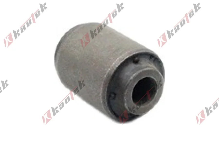 SALINCAK BURCU, ARKA UST