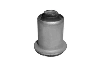 SALINCAK BURCU KUCUK