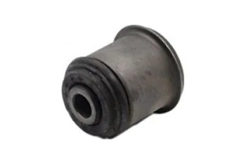 SALINCAK BURCU, ALT ARKA