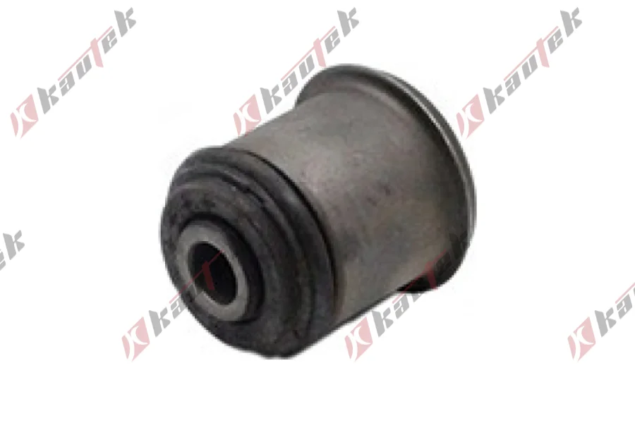 SALINCAK BURCU, ALT ARKA