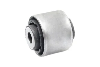 SALINCAK BURCU, ARKA IC