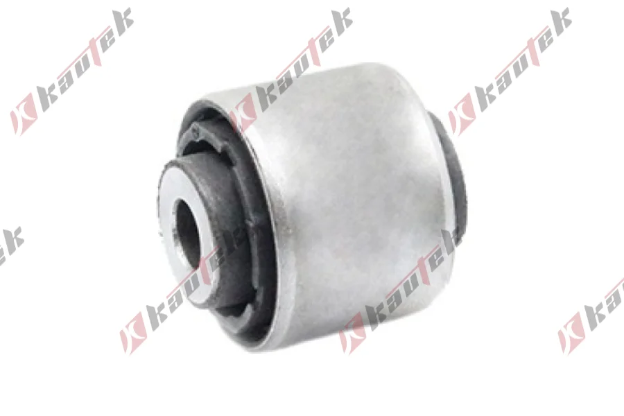 SALINCAK BURCU, ARKA IC