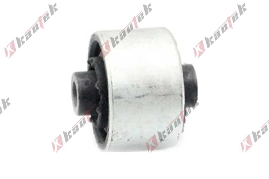 SALINCAK - DENGE KOL BURCU ARKA