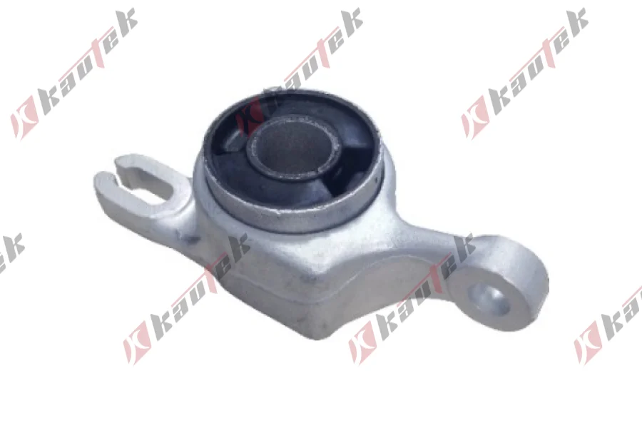 SALINCAK BURCU, ON SOL ALT DIS