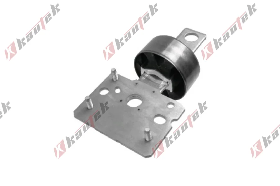 SALINCAK BURCU ARKA SOL