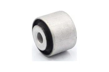 SALINCAK BURCU ARKA ORTA KUCUK