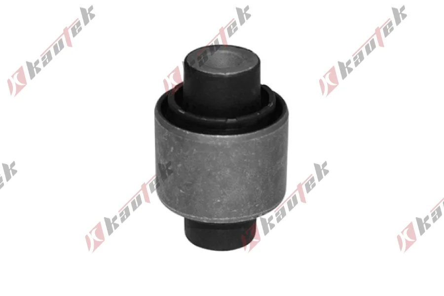 SALINCAK BURCU ARKA BUYUK