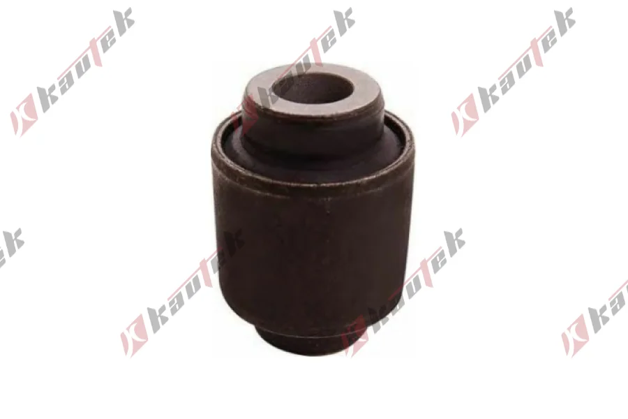 SALINCAK - DENGE KOLU BURCU, ARKA SAG / SOL