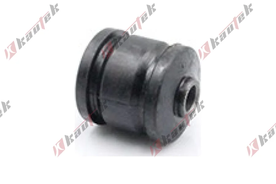 SALINCAK DENGE KOL BURCU, ARKA