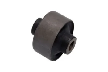 SALINCAK DENGE KOL BURCU, ARKA