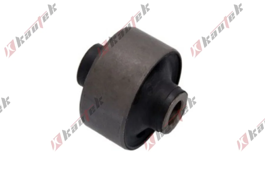 SALINCAK DENGE KOL BURCU, ARKA