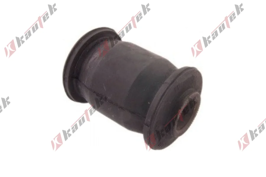 SALINCAK DENGE KOL BURCU, ARKA