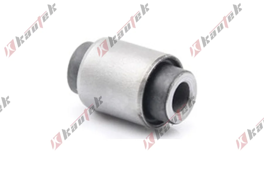 SALINCAK DENGE KOL BURCU, ARKA UST