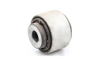 SALINCAK DENGE KOL BURCU, SAG ARKA