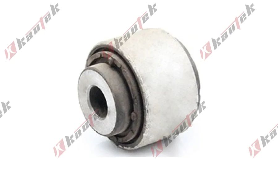 SALINCAK DENGE KOL BURCU, SAG ARKA