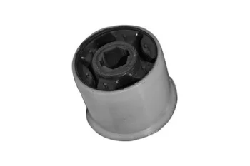 SALINCAK BURCU BUYUK IC