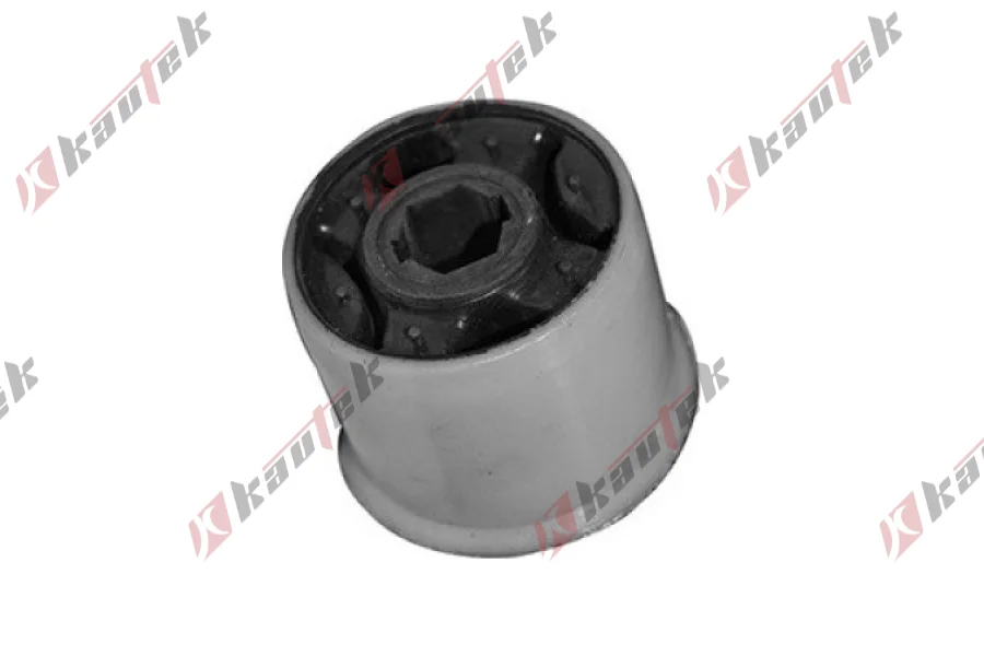 SALINCAK BURCU BUYUK IC