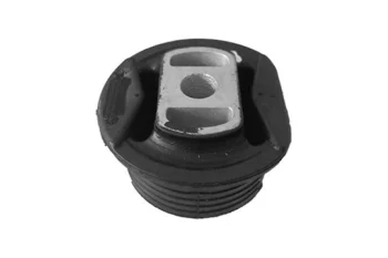 HUB CARRIER BUSH REAR