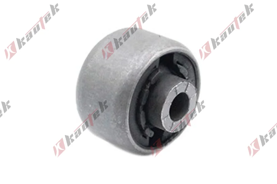 SALINCAK BURCU, KUCUK