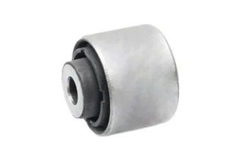 SALINCAK BURCU, ARKA DIS